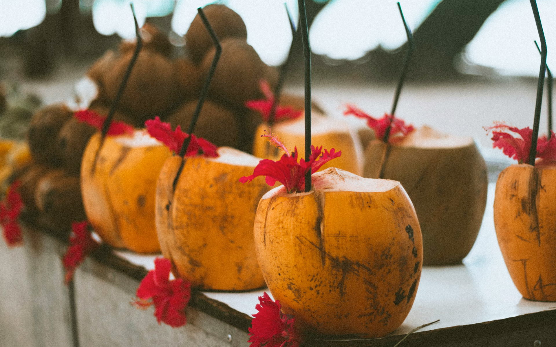 Slide-seychelles-coco