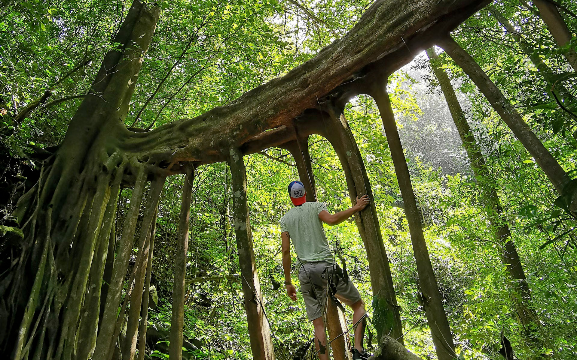 Slides-costa-rica-monteverde