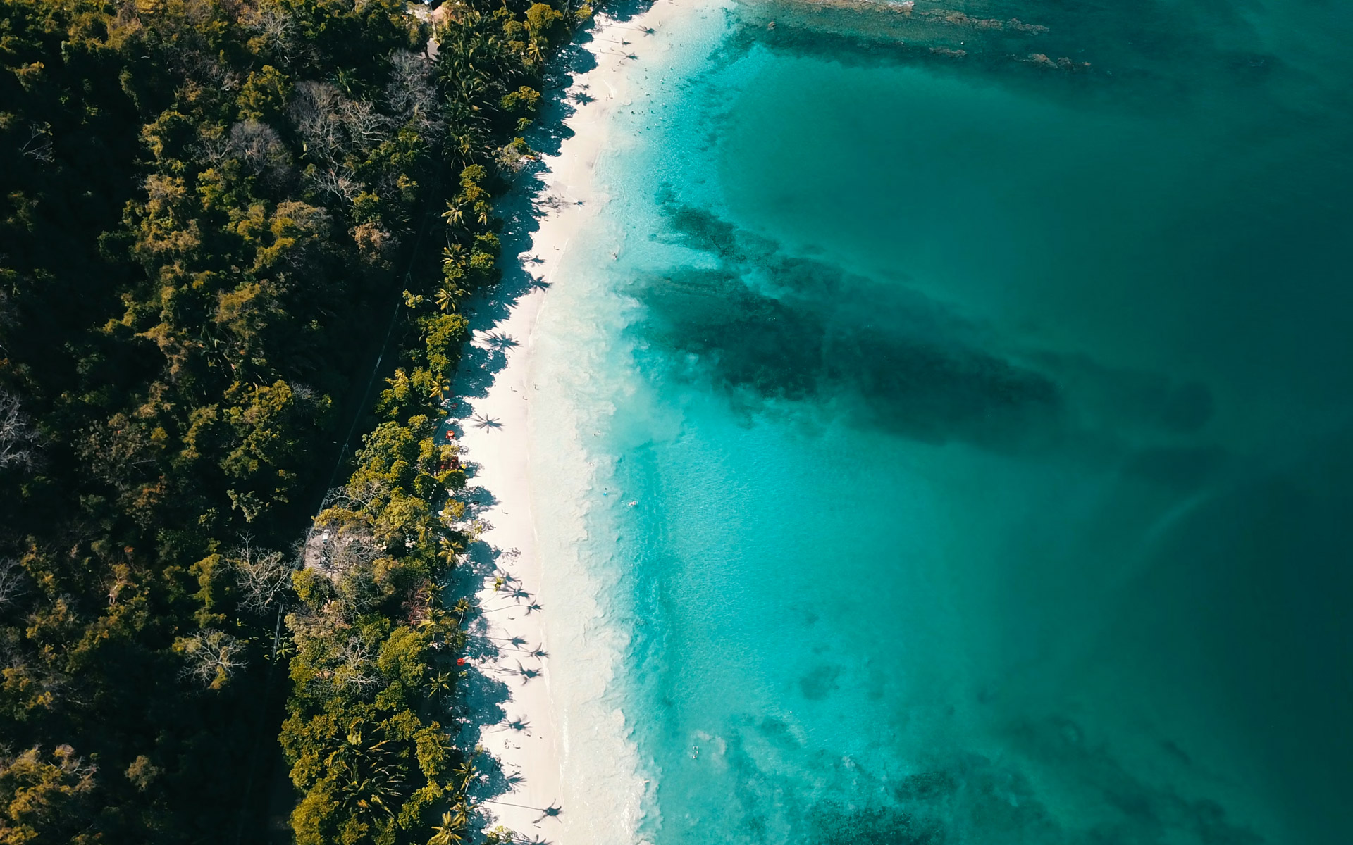 Slides-costa-rica-plage-palmier