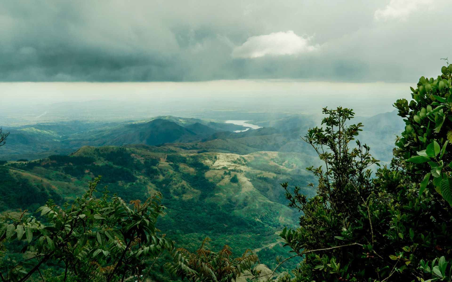 Slides-panama-panama-foret-tropicale