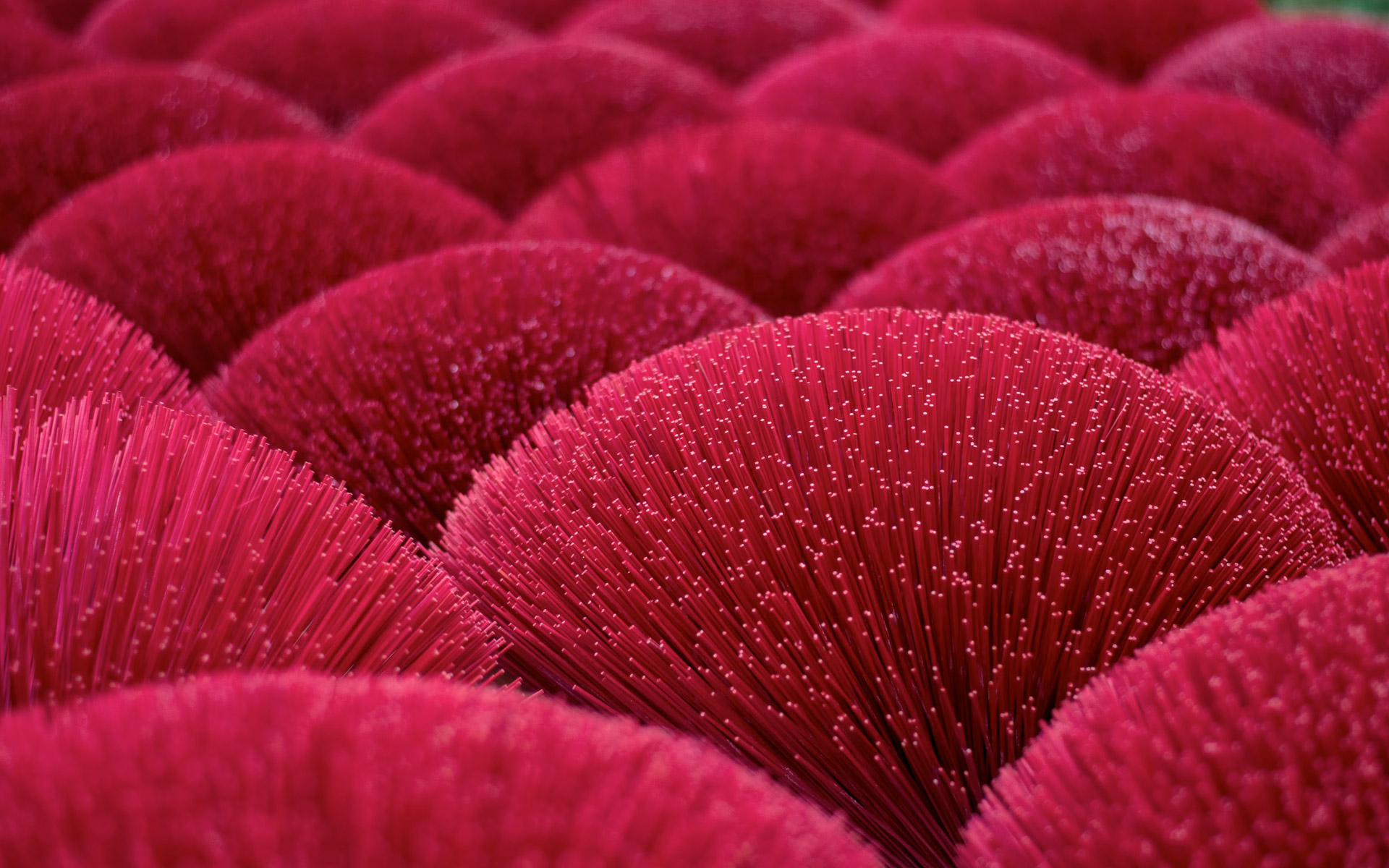 slide-circuit-vietnam-can-tho