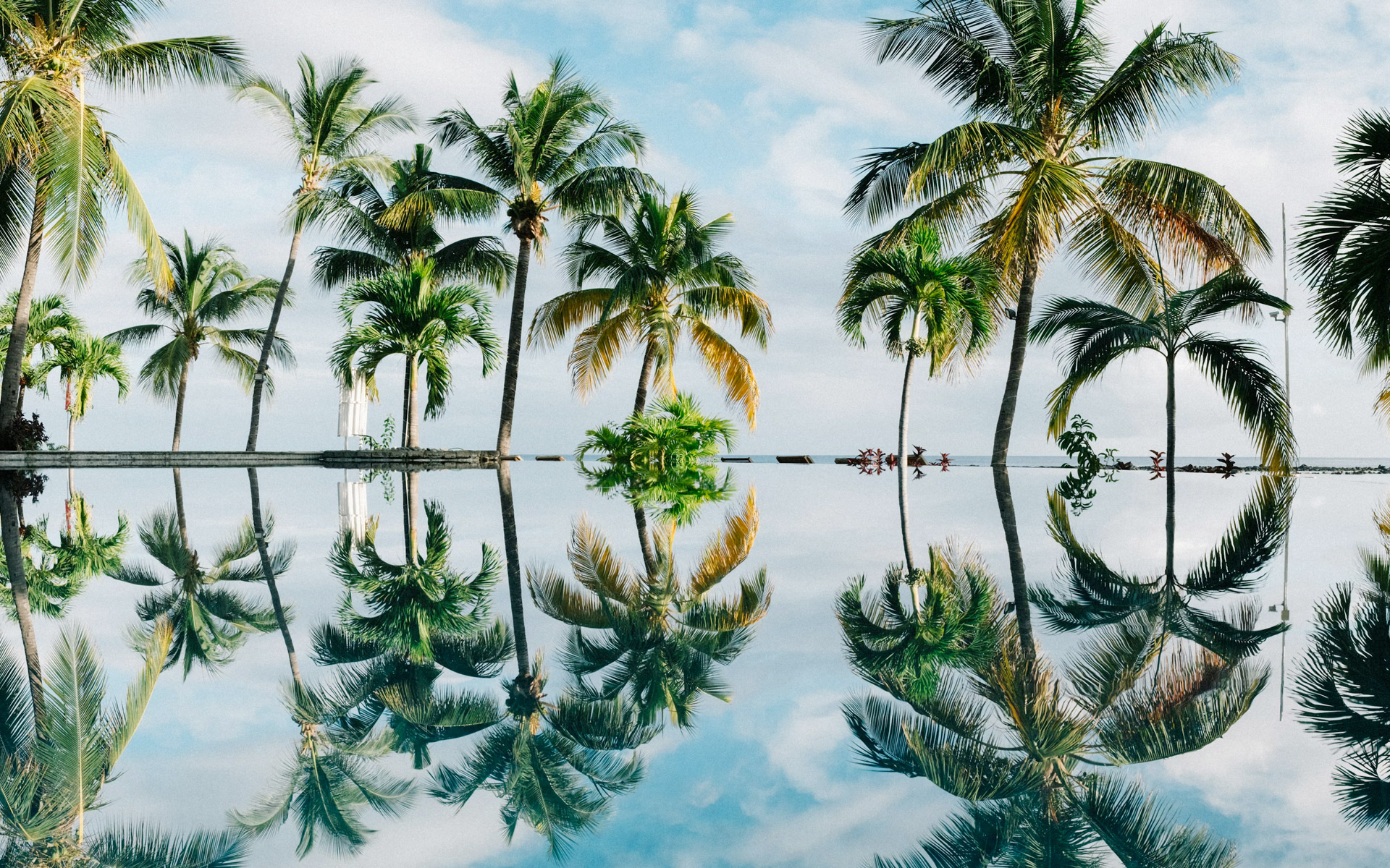 slide-hawai-palmiers-reflet