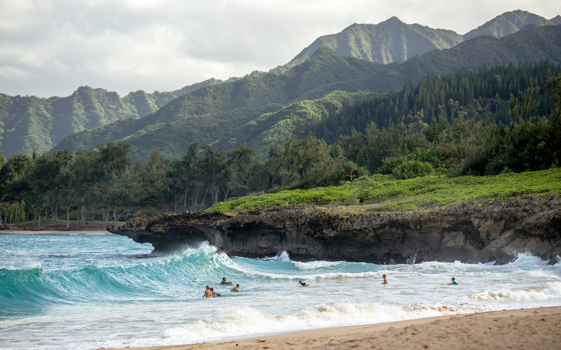 slide-hawai-plage-foret-vagues