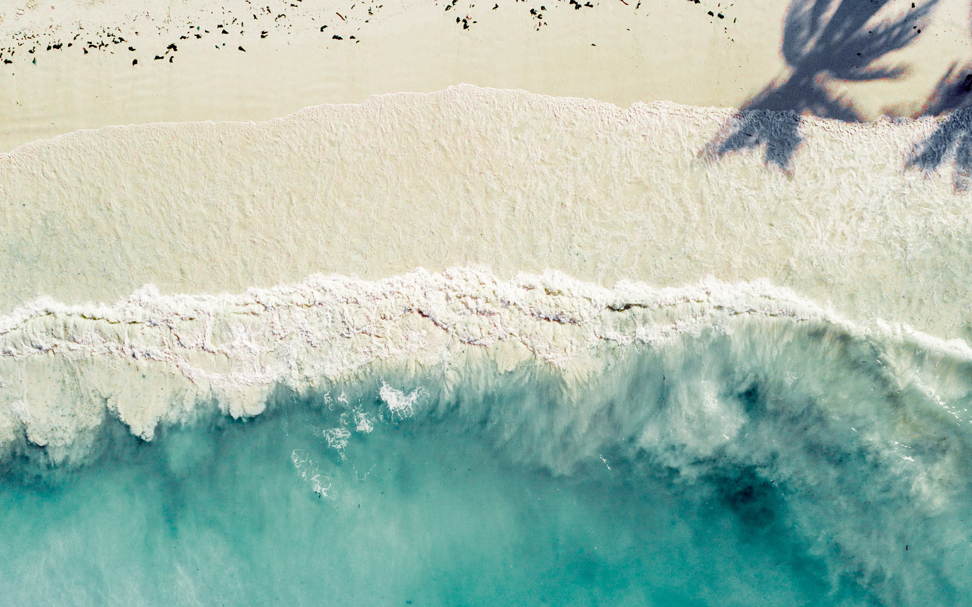 slide-zanzibar-plage-ressac